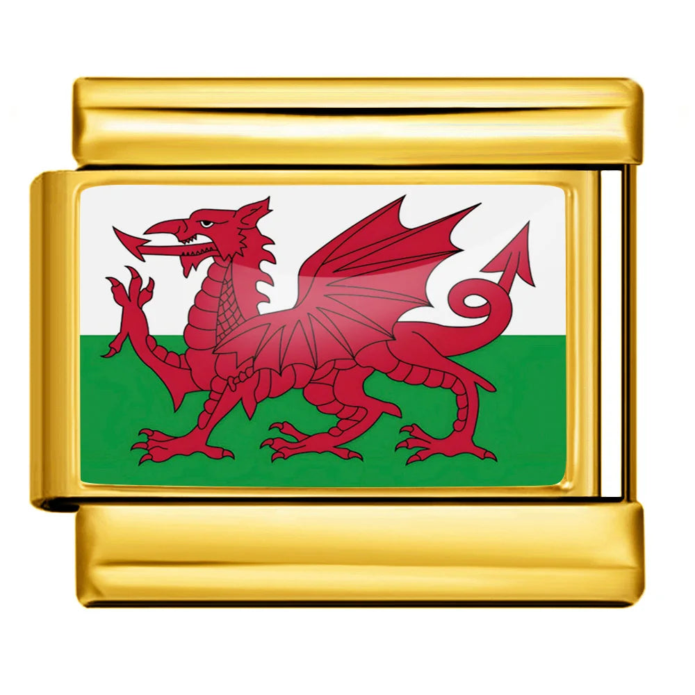 1pc Elastic Charm Chain World National Flag Italian Link fit 9mm Stainless Steel Bracelet DIY Making Jewelry Gifts Accessories